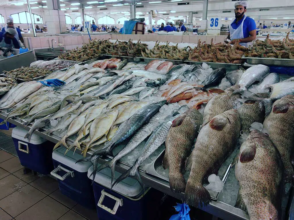 mina fish market abu dhabi